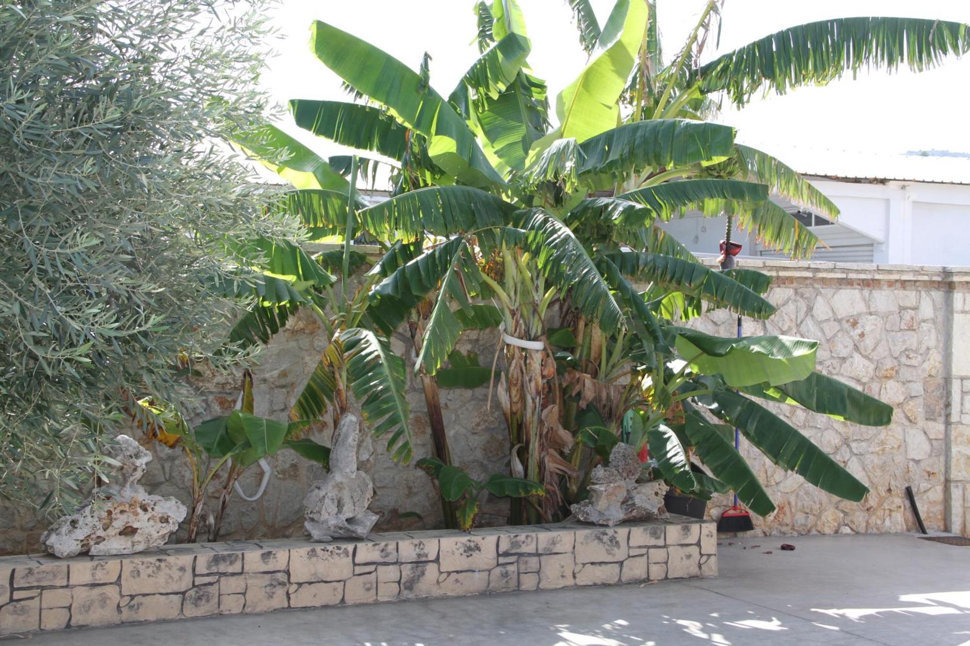 Αριων Village & Suites Nauplia Exterior foto